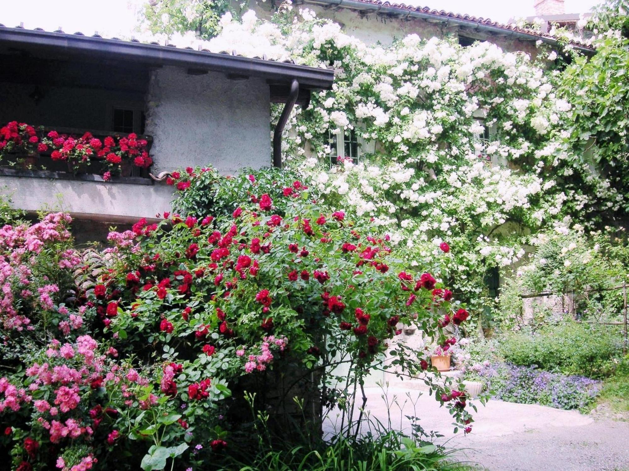 La Traversina Stazzano Extérieur photo